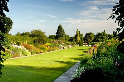 Lawn and borders at RHS