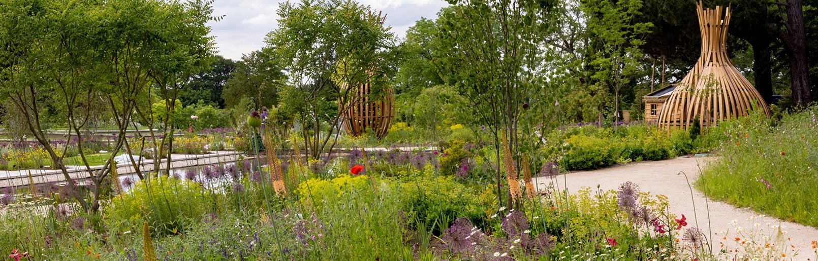 photograph of the garden