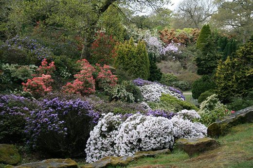 The rock garden at Exbury Gardens