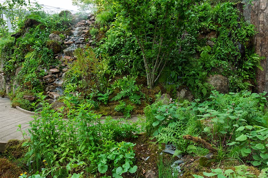 The Wildlife Trusts’ British Rainforest Garden by Zoe Claymore
