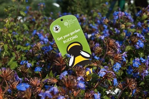 Plants for Pollinators label