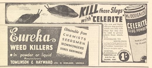 Advert for Celerite Slug Powder. From 'Popular Gardening' (April 24, 1937)