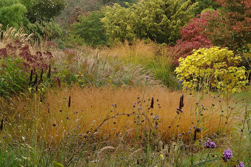 Mill End plantings at Knoll Gardens