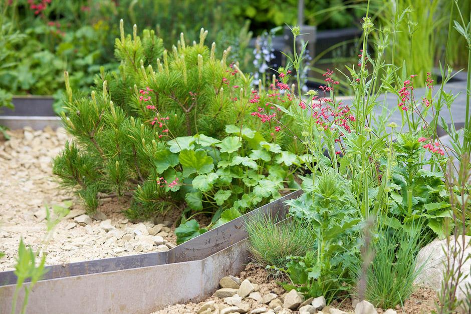 RHS guide to sustainable gardening