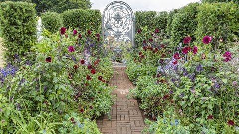 Bringing a taste of the traditional herbaceous borders of Arley Hall and Gardens, this is a celebration of the history and planting on a much smaller scale, and with a vibrant colour palette.