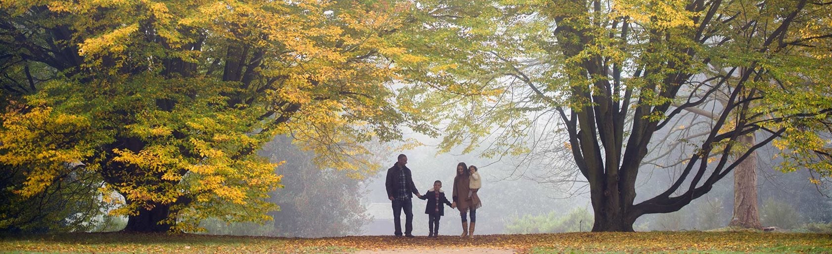 photograph of the garden