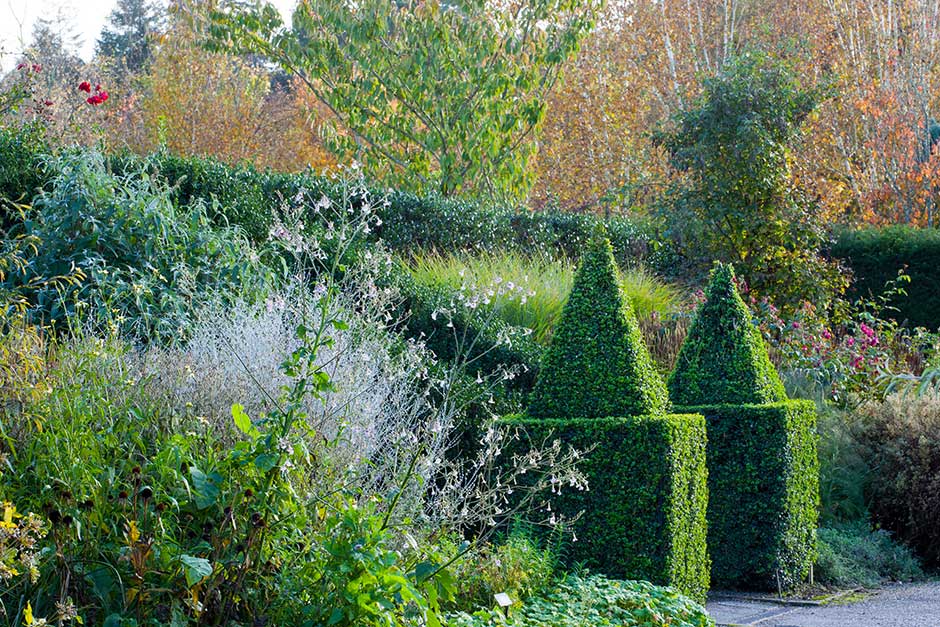 Topiary looks great all year round