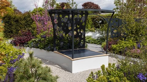 In keeping with the garden's celebratory theme, the planting is a joyful mix of colourful shrubs and perennials. Acers, cercis and abelias rub shoulders with polemoniums, heathers and corydalis.