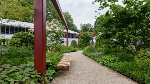 The large garden welcomes you to explore ideas from the soon-to-open RHS garden. Broad paths weave throughout, taking you through large open steel and wood structures surrounded by lush planting