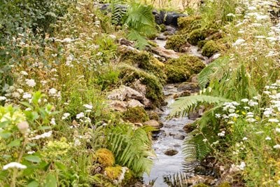 Mindful Meadowlands, designed by Constructing Minds with Nature CIC