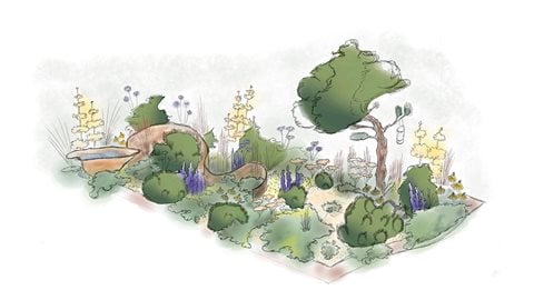 The Goldcrest Garden: Restoring Habitat, Repairing Climate