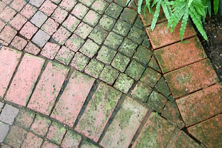 Removing Moss From Patio Paving