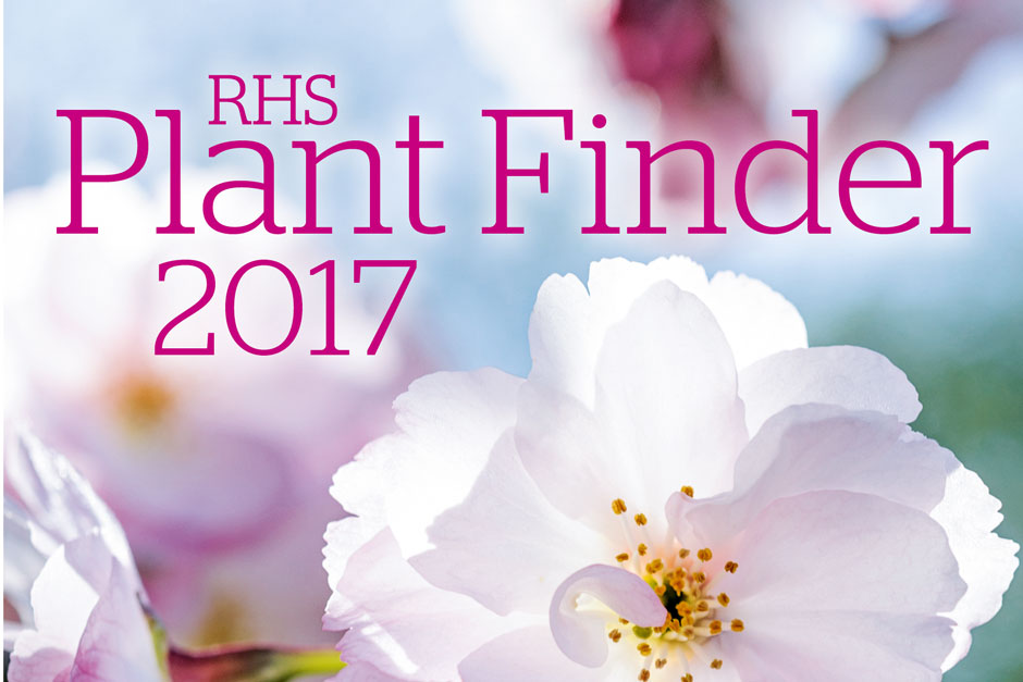 Help, advice & tips from the RHS on all kinds of plants / RHS Gardening