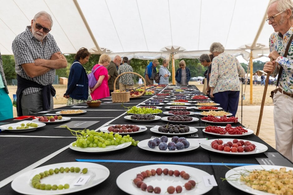 Fruit and veg competition