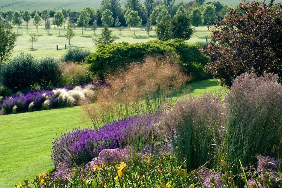 model.mustReadImage.alternativeText