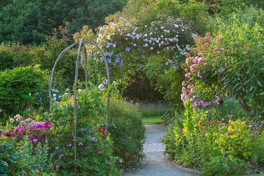 Read The Gardeners Blogs From Rhs Garden Rosemoor Rhs Gardening