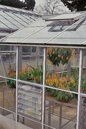 There are many greenhouses to choose from... Credit: RHS