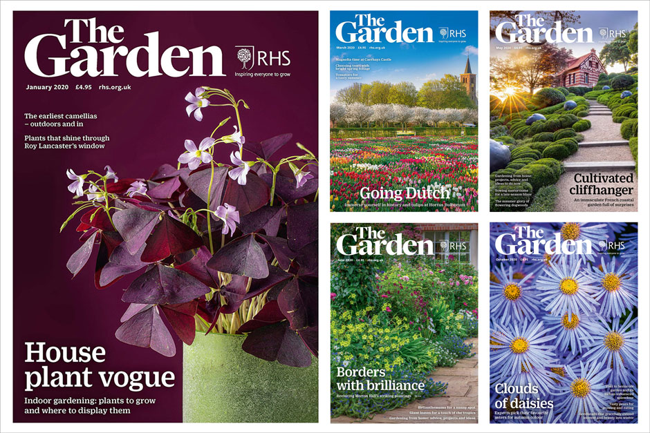 Listen To Rhs Gardening Podcasts Rhs Gardening