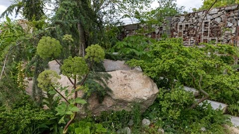 YoungMinds Garden