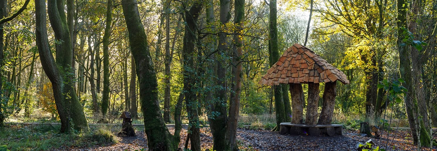 photograph of the garden