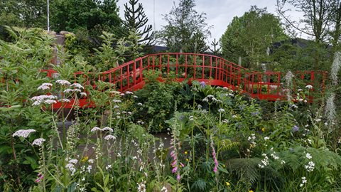 Monkey puzzle trees and southern beech line the garden, while a planted wall of natural stone provides the backdrop for two dramatic waterfalls tumbling into the garden's main pool