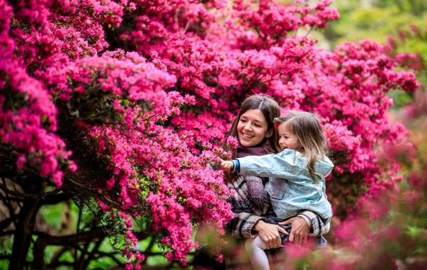 image of people enjoying an RHS garden