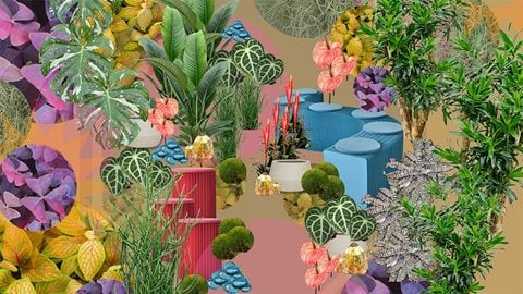 Heliotropic Carousel