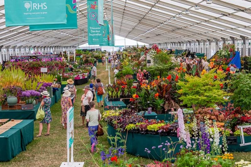 Floral Marquee at RHS Hampton Court Palace Flower Show 2018