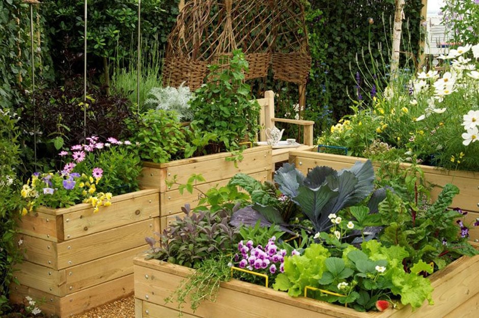 Six Amazing Small Garden Design Ideas Rhs Gardening