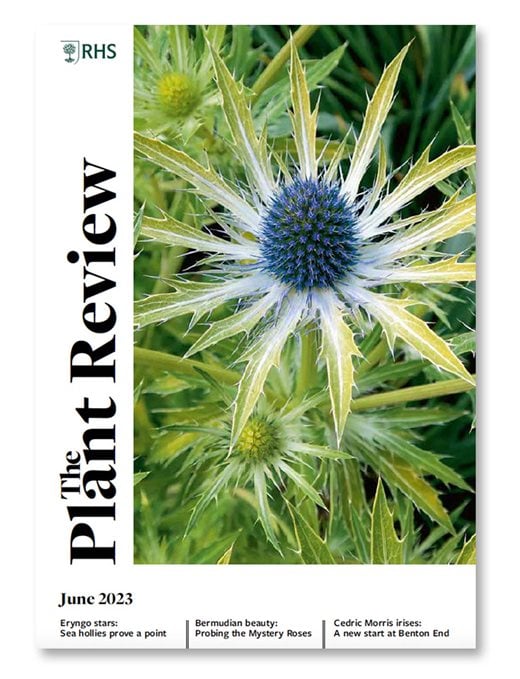 The June 2023 cover of The Plant Review