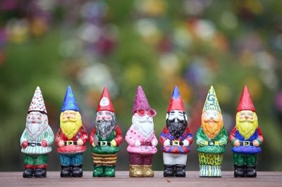 Gnomes at RHS Chelsea
