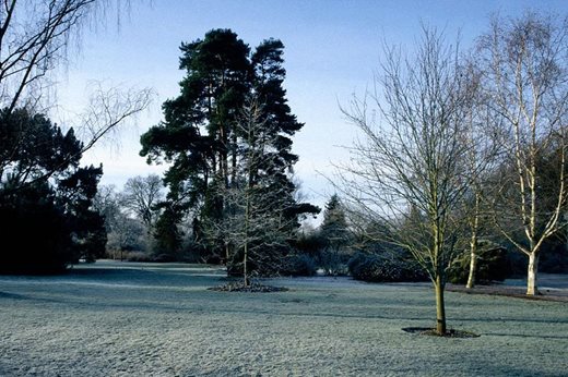 frosty lawns in Seven Acres at Wisley