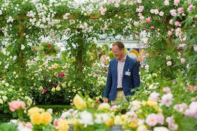 David J. C. Austin at RHS Chelsea Flower Show