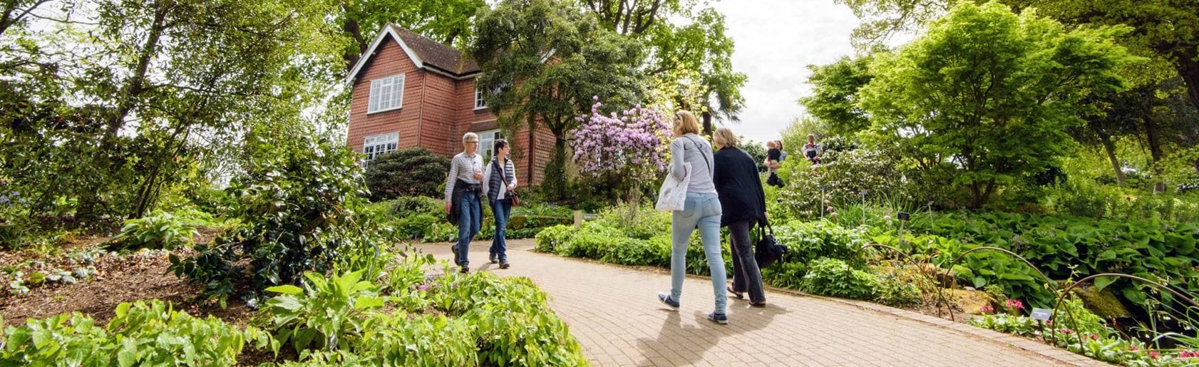 photograph of the garden