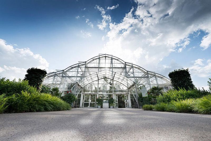 About the Glasshouse at RHS Garden Wisley / RHS Gardening
