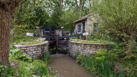 Pollarded willow and wild planting that includes cow parsley, digitalis and teasels surround a central lock and tow path, complete with an authentic lock keeper’s cottage and garden