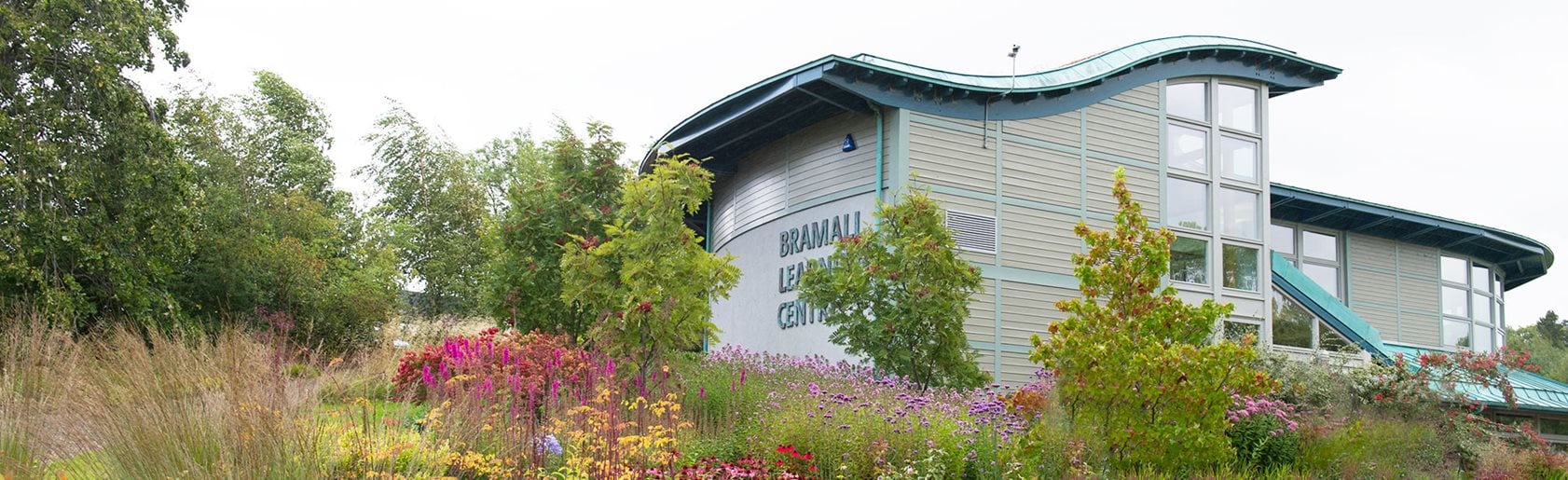 photograph of the garden