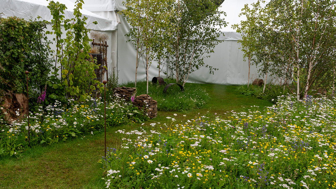 Nocturnal Pollinator