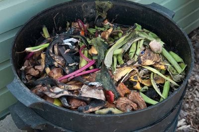 Food in compost bin