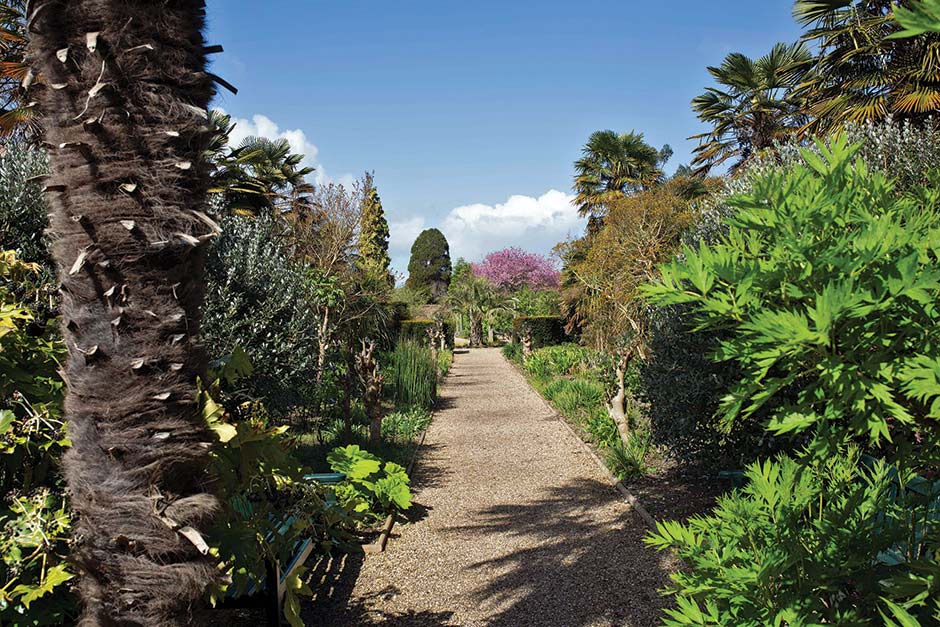 THE WALLED GARDENS OF CANNINGTON