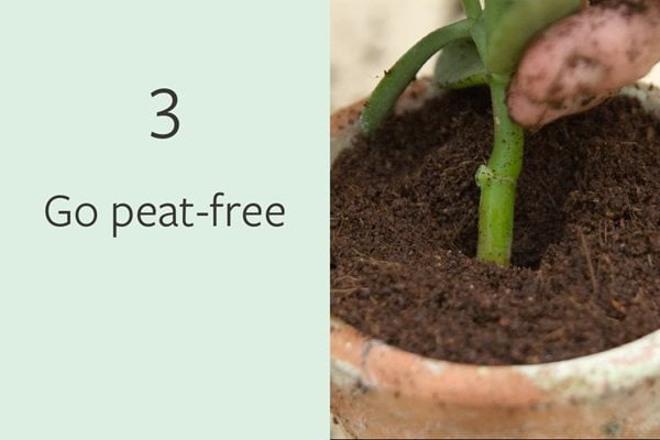3. Go peat-free