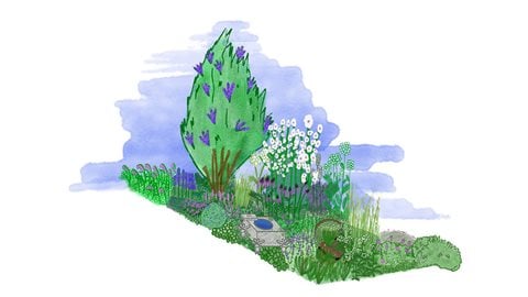 Ladywell Physic Garden