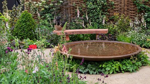 The ADHD Foundation Garden