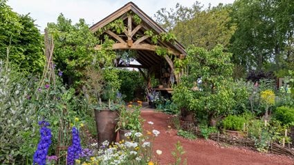 The RHS and The King’s Foundation Curious Garden