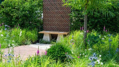 Pollarded Willows, dome clipped yews, sedge, purple Loosestrife and pensteman are focuses of the planting in the garden