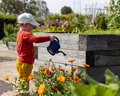 Wellbeing benefits of gardening for children