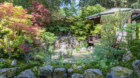 No stranger to Chelsea, Kazuyuki Ishihara has staged another immaculate show garden that demonstrates his mastery of traditional Japanese garden design.