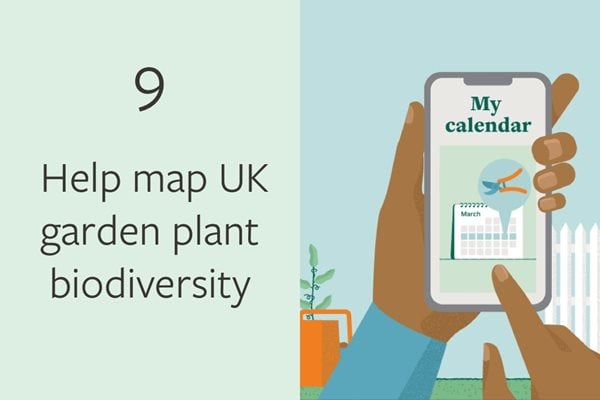 9. Help map UK garden plant biodiversity