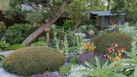 Lush planting with meticulous attention to detail combined with a smart relaxation room constructed of bronze, copper and dark wood makes this garden feel luxurious and opulent