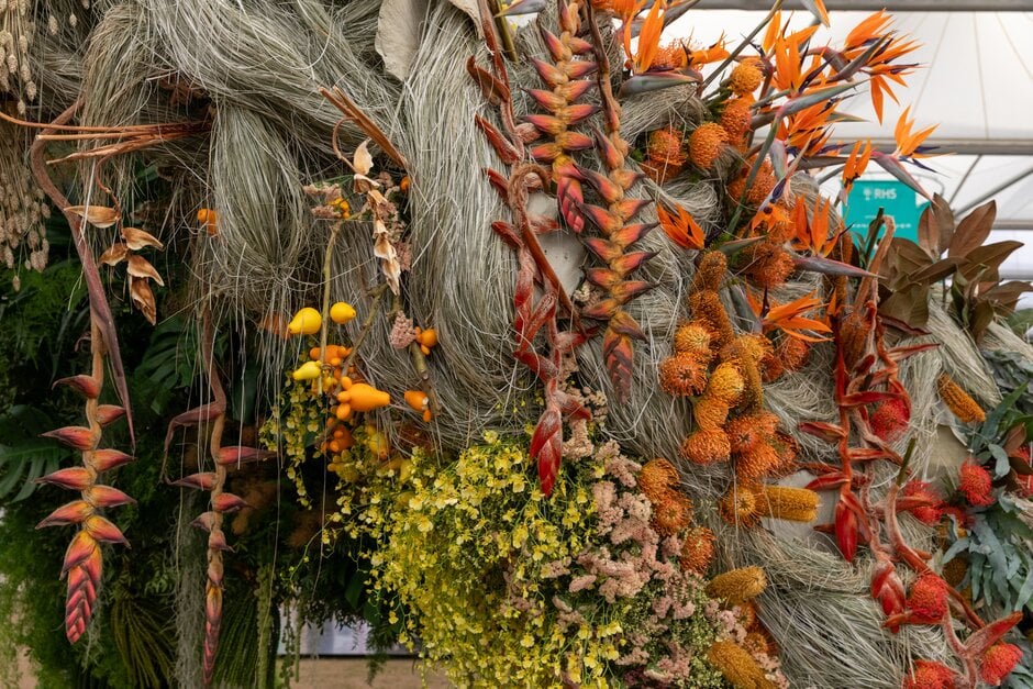 Advanced aeroponics display at RHS Chelsea 2025